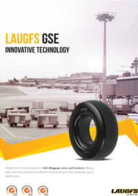 GSE-1-